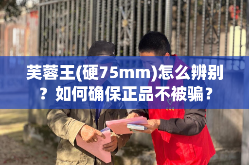 芙蓉王(硬75mm)怎么辨别？如何确保正品不被骗？